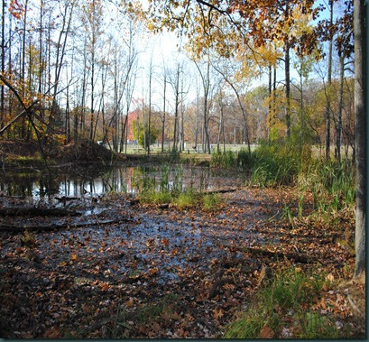 MY QUALITY TIME: Watery Wednesday at Flint Ridge Memorial State Park in ...